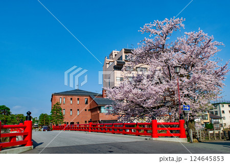 飛騨高山 赤い欄干の中橋 満開の桜 4月下旬 飛騨高山 赤い欄干の中橋 満開の桜 4月下旬 124645853