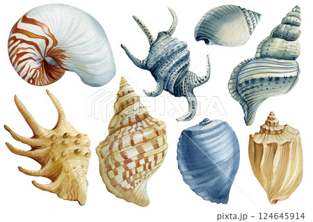 Exotic sea shells, ocean spiral conch, marine mollusk clipart set. Watercolor collection hells hand painted illustration Exotic sea shells, ocean spiral conch, marine mollusk clipart set. Watercolor collection hells hand painted illustration 124645914