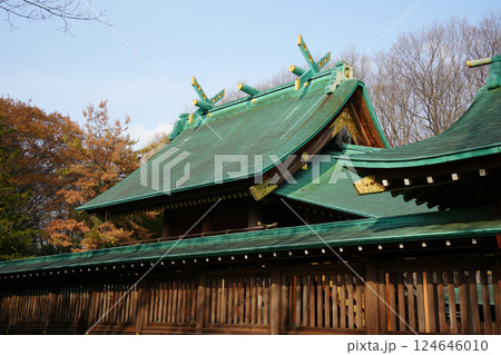 常陸国出雲大社 本殿 常陸国出雲大社 本殿 124646010