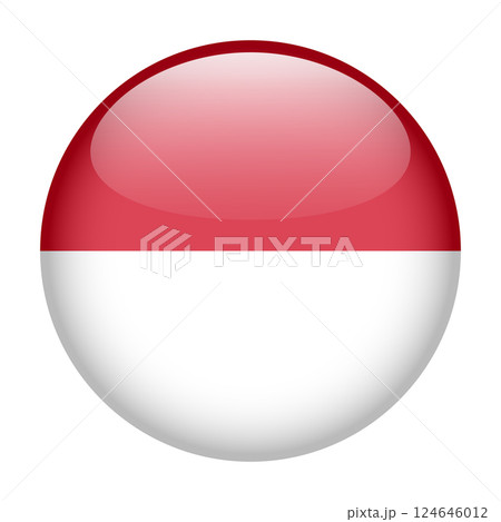 flag of Monaco, button round glossy icon flag of Monaco, button round glossy icon 124646012