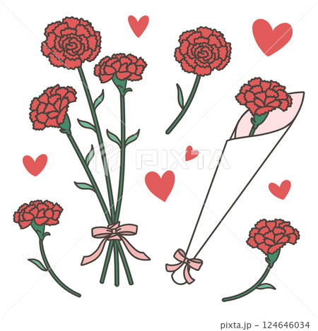 母の日　赤いカーネーション　花束　セット 124646034