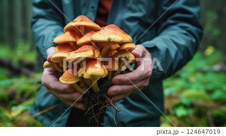 man picking mushroom in autumn forest, wild fungus harvesting at nature man picking mushroom in autumn forest, wild fungus harvesting at nature 124647019