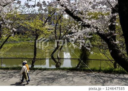 公園に向かう遊歩道、満開の桜とそぞろ歩く人々の風景-4 124647585