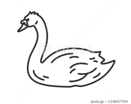 コブハクチョウ（線画）のイラスト 124647704
