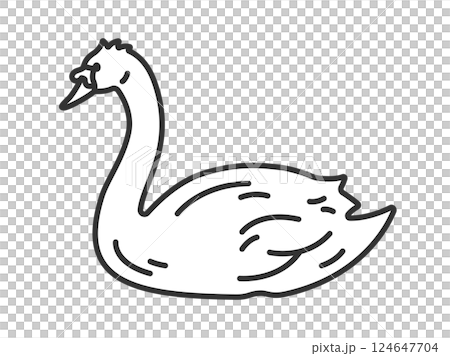 コブハクチョウ（線画）のイラスト 124647704