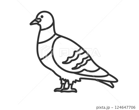 鳩（線画）のイラスト 124647706