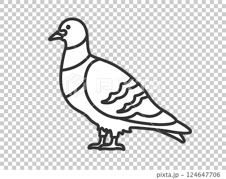 鳩（線画）のイラスト 124647706