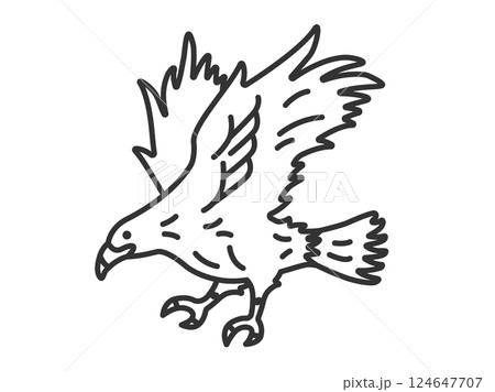 鷹（線画）のイラスト 124647707