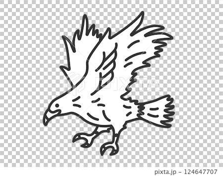 鷹（線画）のイラスト 124647707