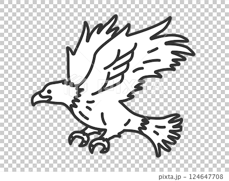 Eagle (line drawing) illustration 124647708