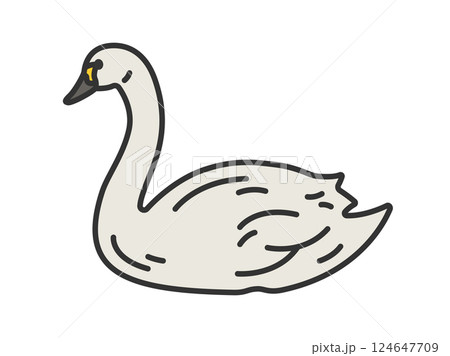 白鳥（線画カラー）のイラスト 124647709