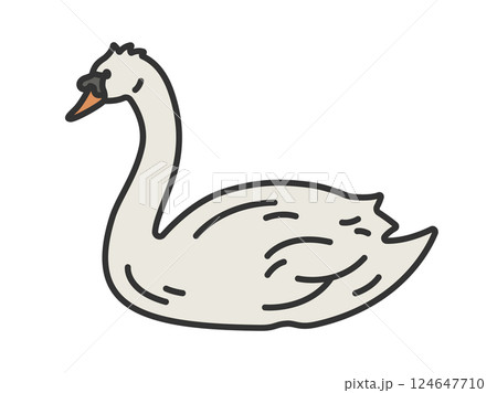 コブハクチョウ（線画カラー）のイラスト 124647710