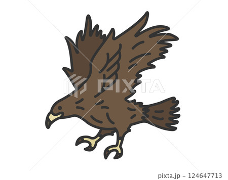 鷹（線画カラー）のイラスト 124647713
