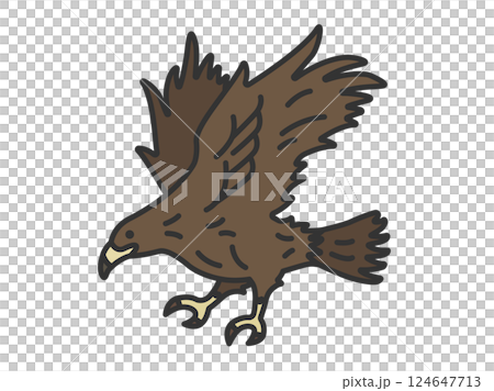 鷹（線画カラー）のイラスト 124647713