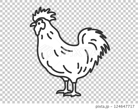 鶏（線画）のイラスト 124647717