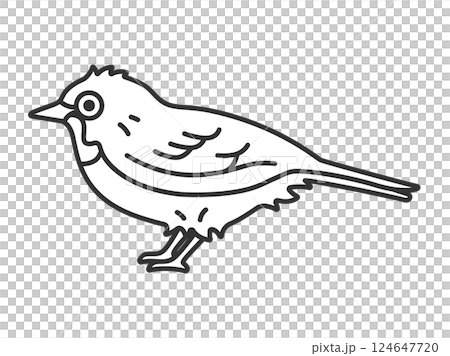 繡眼鳥的插圖(線描) 繡眼鳥的插圖(線描) 124647720