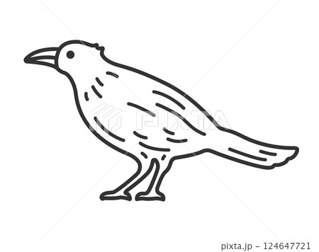 カラス（線画）のイラスト 124647721