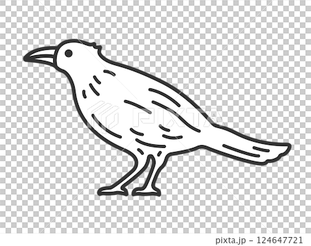 カラス（線画）のイラスト 124647721