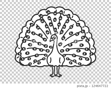 孔雀（線描）插圖 124647722