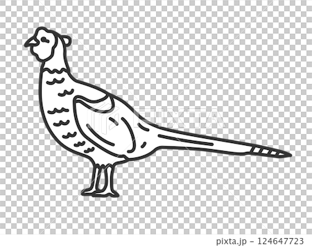 雉（線画）のイラスト 124647723