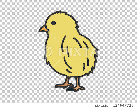 小雞的插圖(線條描彩色) 小雞的插圖(線條描彩色) 124647729