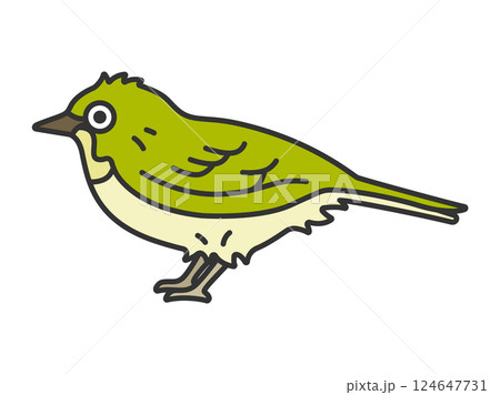 メジロ（線画カラー）のイラスト 124647731