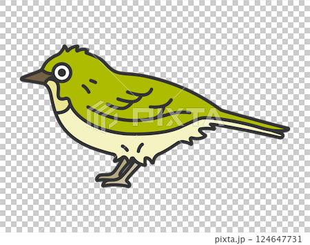 メジロ（線画カラー）のイラスト 124647731