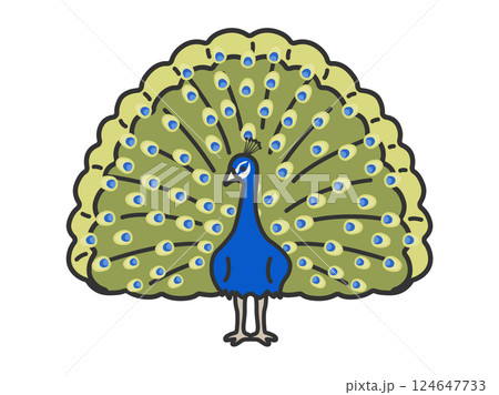孔雀（線画カラー）のイラスト 124647733
