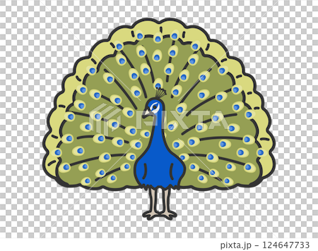 Illustration of a peacock (line drawing color) 124647733