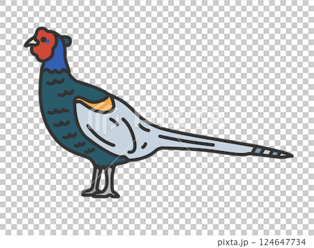 雉雞插圖（線條描彩色） 124647734