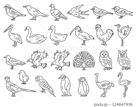 いろいろな、鳥類(線画)のイラストセット いろいろな、鳥類(線画)のイラストセット 124647936