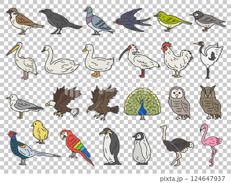 いろいろな、鳥類（線画カラー）のイラストセット 124647937