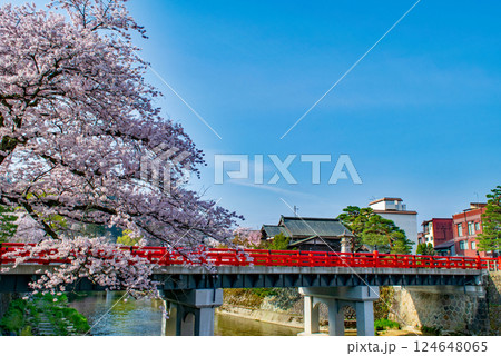 飛騨高山　赤い欄干の中橋　満開の桜　4月下旬 124648065