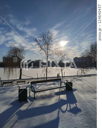 Snowy Park with Bench and Winter Sunlight 124648437