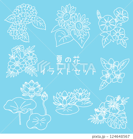 夏の花イラストセット　手がきペン画 124648567