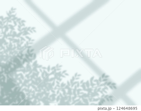 窓と木の影が壁に映る背景 124648695