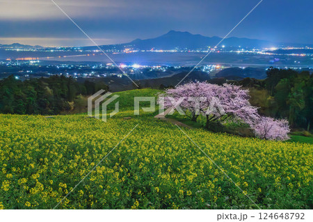 白木峰高原 長崎 諌早 コスモス 桜 菜の花 白木峰高原 長崎 諌早 コスモス 桜 菜の花 124648792