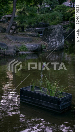 Spring flowers in the Asian garden with a pond Spring flowers in the Asian garden with a pond 124649033