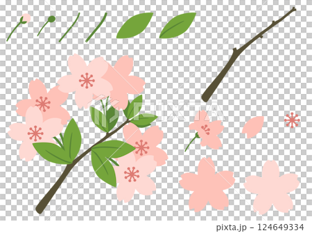 シンプルな葉桜と花びらのイラストセット素材 124649334