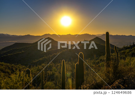 Sunset over King Canyon Trailhead in Saguaro National Park in Arizona 124649686
