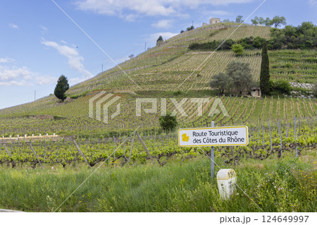 Typical vineyard with Wine road (Route Touristique des Cotes du Rhone) near Tain l'Hermitage, Cotes du Rhone, France 124649997