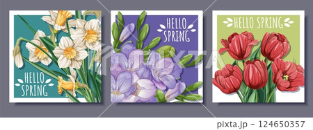Spring Square Card Set with Tulip, Daffodil and Freesia Bouquets. Floral Greeting Design for Banners, posters, Social Media, Prints and Seasonal Decor. Fresh Vector Illustrations. 124650357