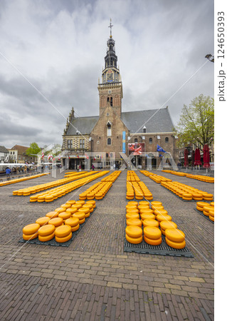 traditional cheese market in Alkmaar, Netherlands traditional cheese market in Alkmaar, Netherlands 124650393