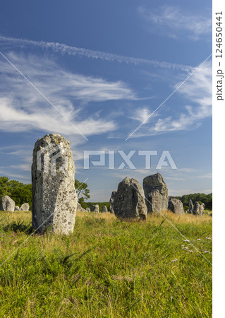 Standing stones (or menhirs) in Carnac, Morbihan, Brittany, France 124650441