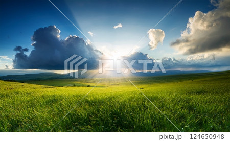 雲間から光が差す広大な草原風景5 124650948