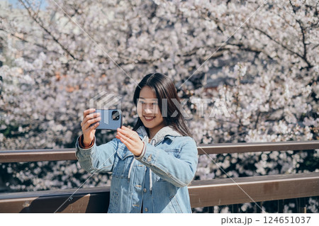 満開の桜を背景にスマートフォンで自撮りする女性 満開の桜を背景にスマートフォンで自撮りする女性 124651037