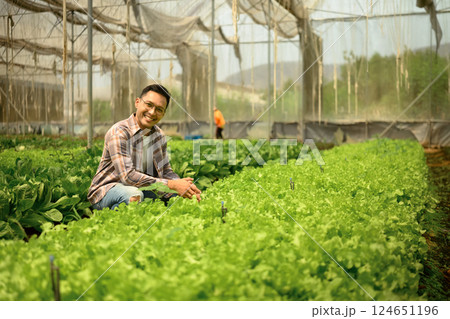 Portrait of smiling male farmer inspecting his green vegetable crops inside a greenhouse 124651196