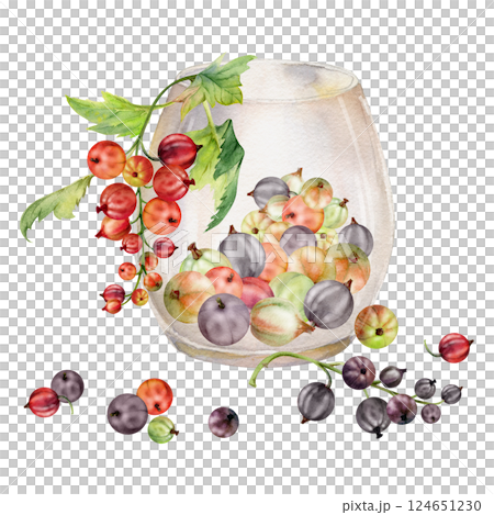 Currant gooseberry clusters leaves in glass, hand drawn in watercolor, ripe picked garden berry harvest, casseille jostaberry. Isolated illustration. Food blogs, cookbook, dessert menu, farmers market 124651230