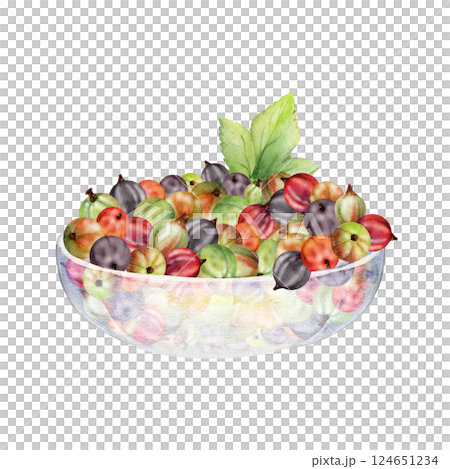 Currant gooseberry leaves in glass bowl, hand drawn in watercolor, ripe picked garden berry harvest, casseille jostaberry. Isolated illustration. Food blogs, cookbook, dessert menu, farmers market 124651234