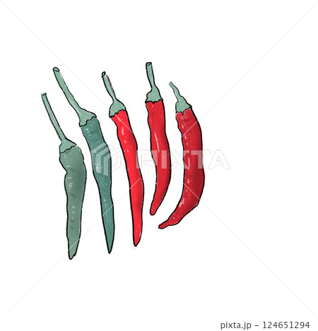 とうがらし とうがらし 124651294